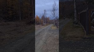 питбайк regulmoto fly детский отзыв
