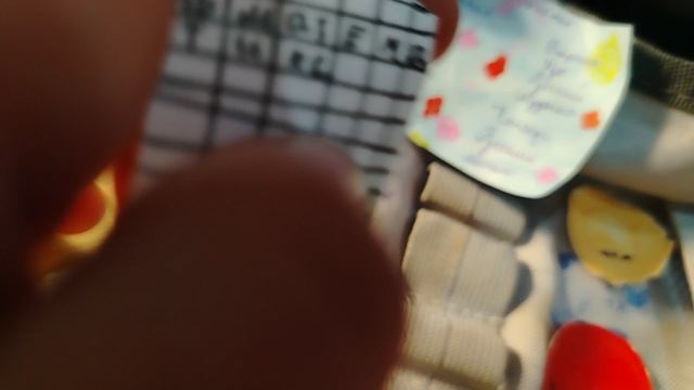 Обзор на комнату гусика