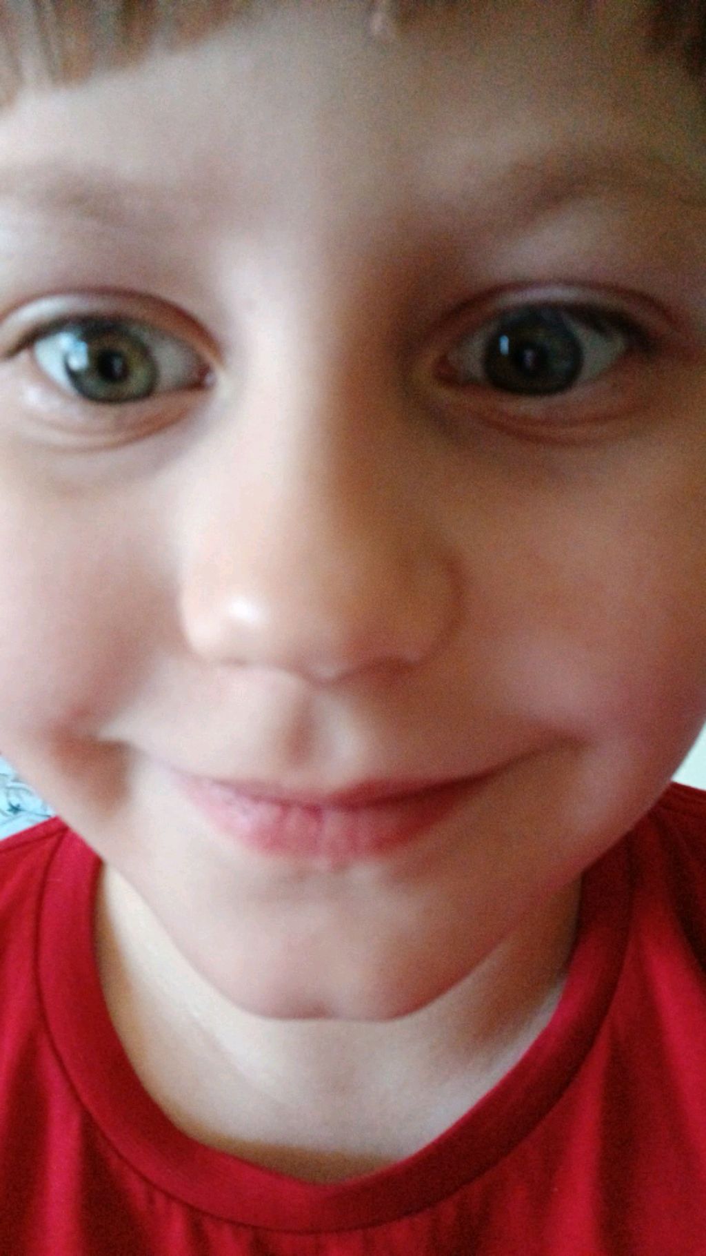 щ смотреть онлайн