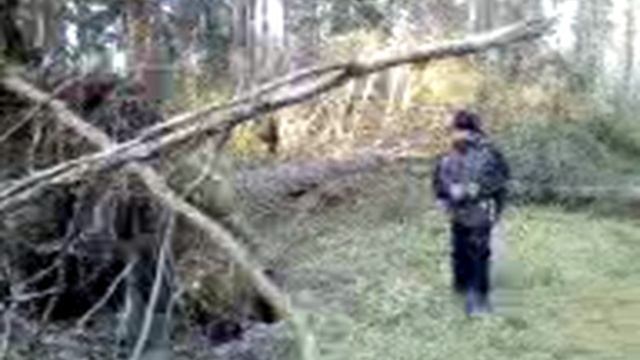 Видео-0004 смотреть онлайн