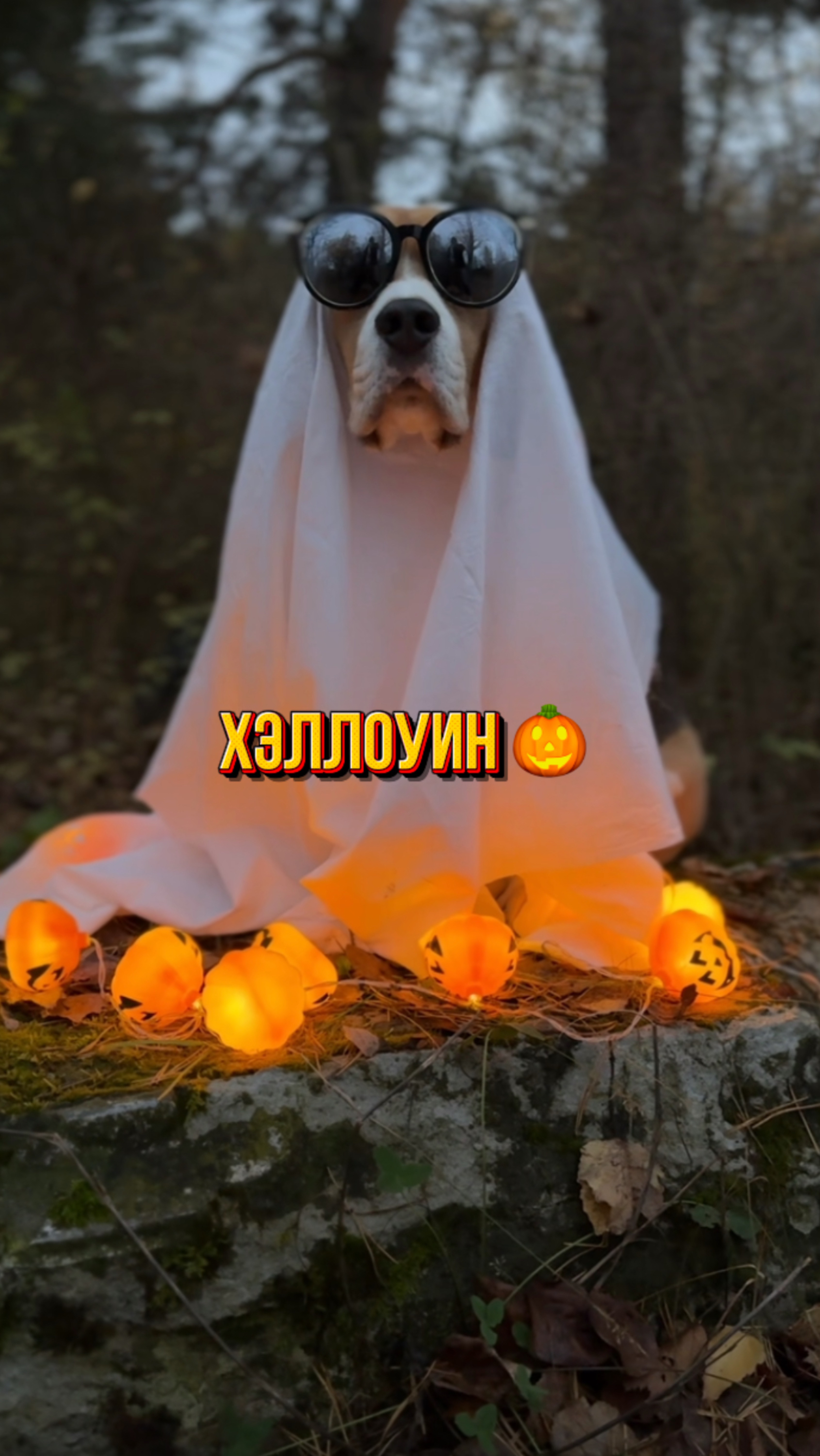А ты готов?👻 смотреть онлайн