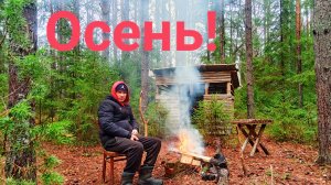 Возвращение в лесную ФАЗЕНДУ! Бор УЮТ встречает. Люди у которых нет головы!!! Опять воруют !