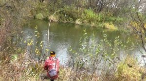 Рыбалка 24 октября на хищника на малой реке с берега на жерлицы- не зря съездил!