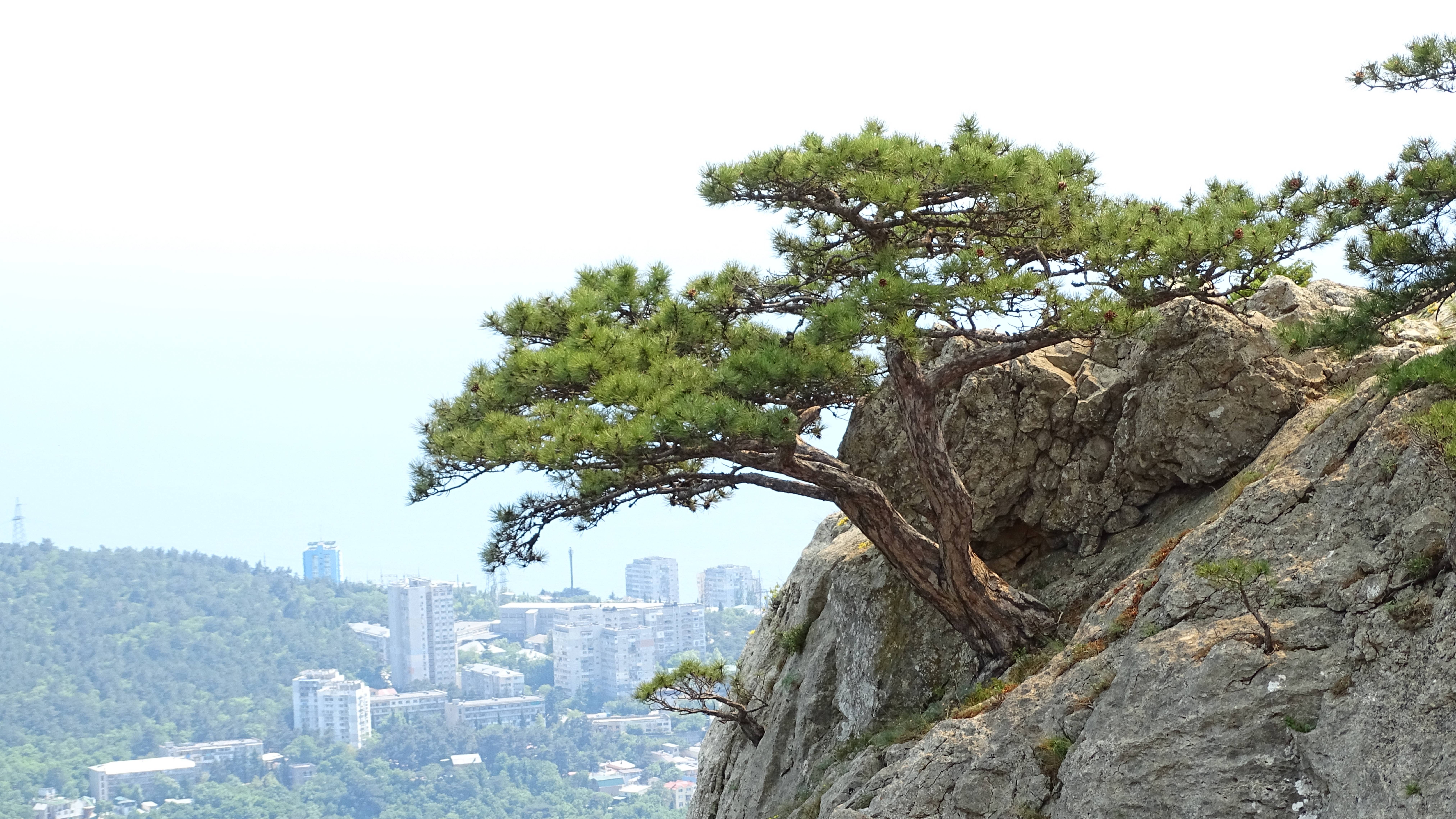 Крым. Ялтинские водопады. Учан Су и Темиар. смотреть онлайн