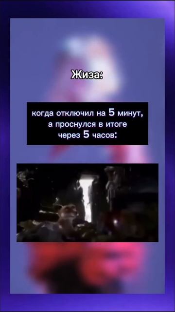 Котэ нюхач 😤 смотреть онлайн