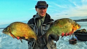 СЕЗОН ТРОФЕЕВ. БЕЗМОТЫЛКА РУЛИТ 2025-26