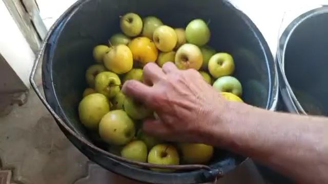 Мой рецепт "мочёных" яблок смотреть онлайн