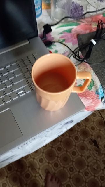 Very Nordic Ninja: 26 October Wonder 3 (26.10.2025) Крайне Северный Ниндзя: 26 Октябрьское Чудо 3