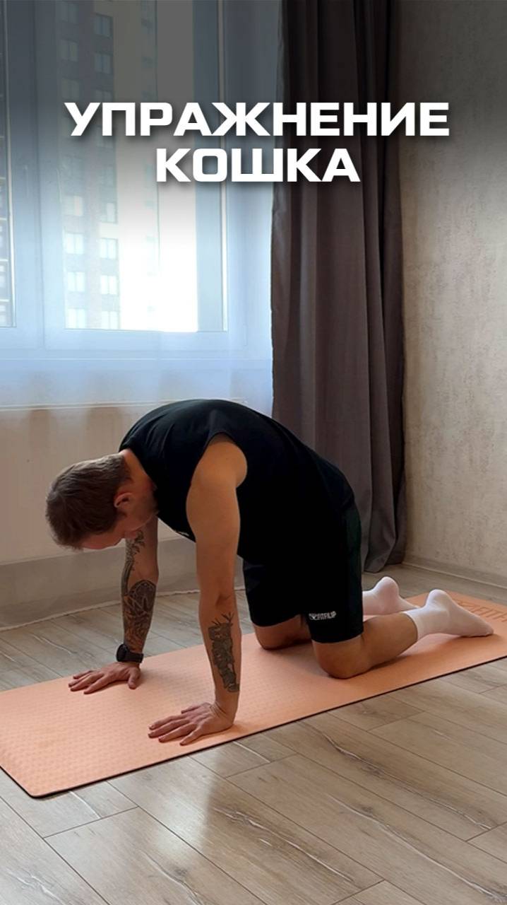 Кошка - Простое упражнение для гибкости спины смотреть онлайн