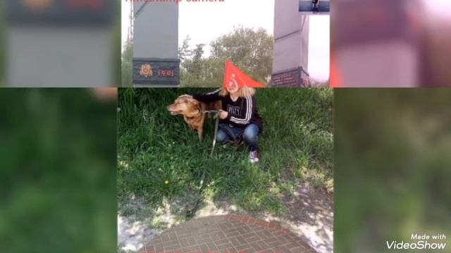 Мариуполь ⛵ ВАШ БЛОГЕР, снимаю о городе о жизни о своих 🐈🐈🐈. Подписчикам ♥️спасибо,что смотрите смотреть онлайн