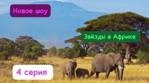 Новое шоу 🌦️.Звёзды в Африке 4 выпуск.