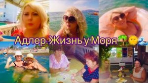 Сочи. Адлер Курортный Городок Пляж  Ужин в Кафе / Минеральный Источник. Играем в Карты в Сочи.