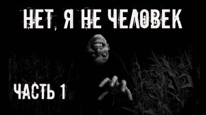 Нет, я не человек! Часть 1. Страшные истории на ночь. Страшилки на ночь. Жуткие истории. Ужасы