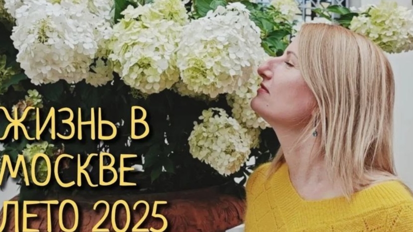 #151 💲 БИЗНЕС ТЕРРА 💇 модная СТРИЖКА 🍪 БЛИНЫ 💪 СПОРТ НА ВОЗДУХЕ 🏫 ЦЕНТР МОСКВЫ 🌸 #синийтрактор смотреть онлайн