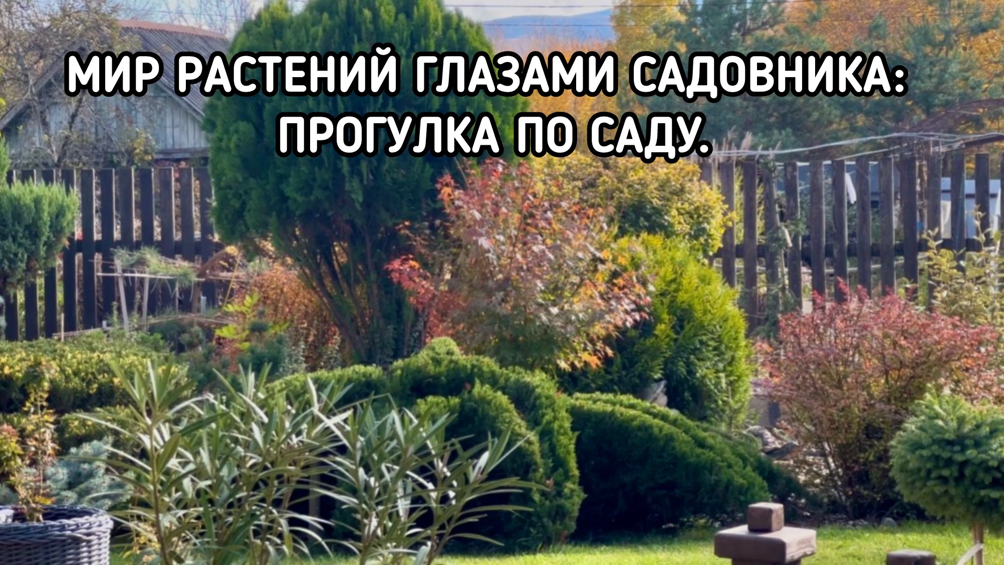 Мир растений глазами садовника: прогулка по саду смотреть онлайн