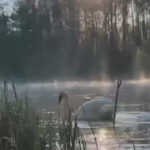 Мой Ангел хранитель. Чудесная песня для души