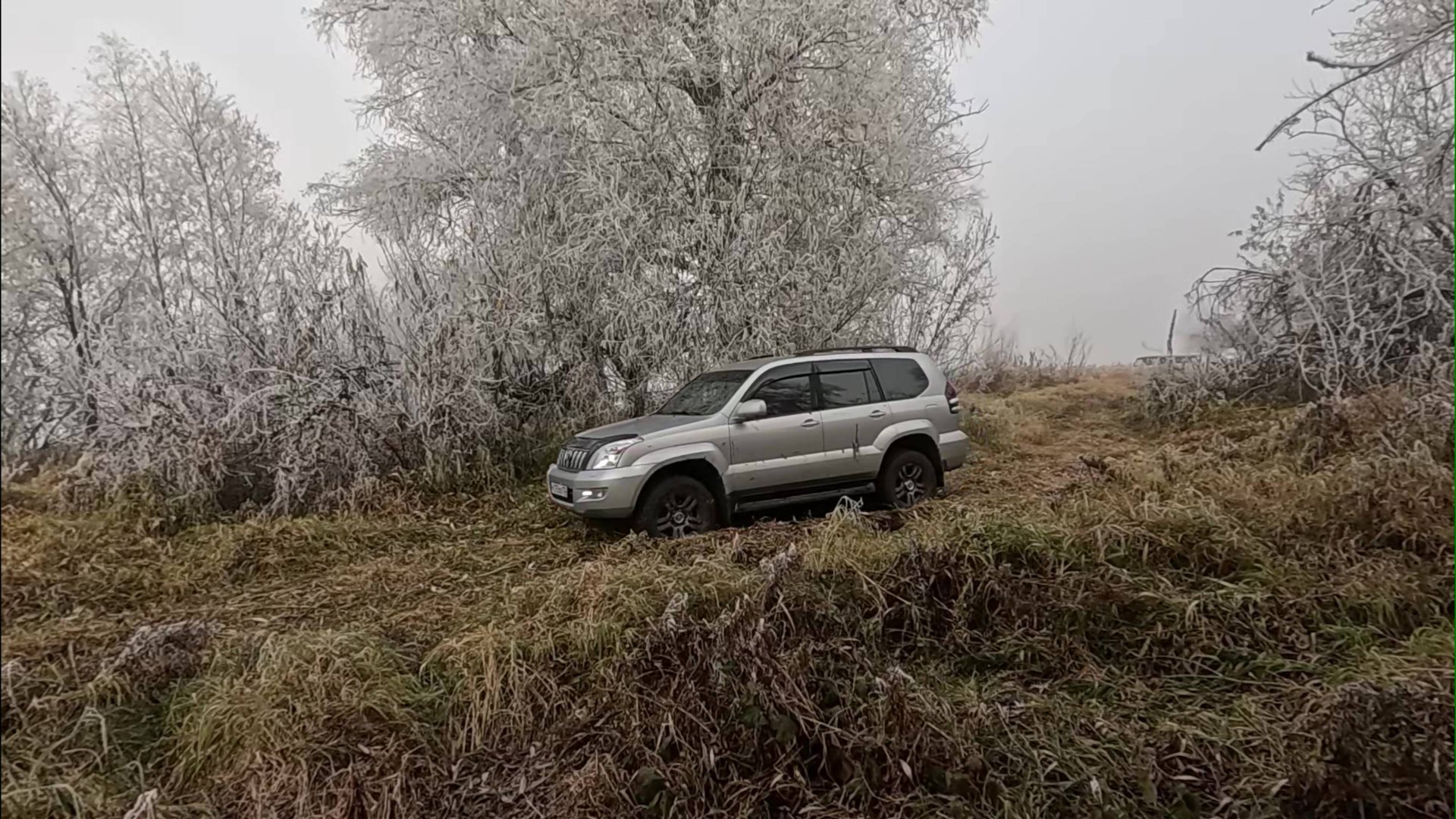 ДЕНЬ АВТОМОБИЛИСТА НА ПРИРОДЕ. Алтайский край смотреть онлайн