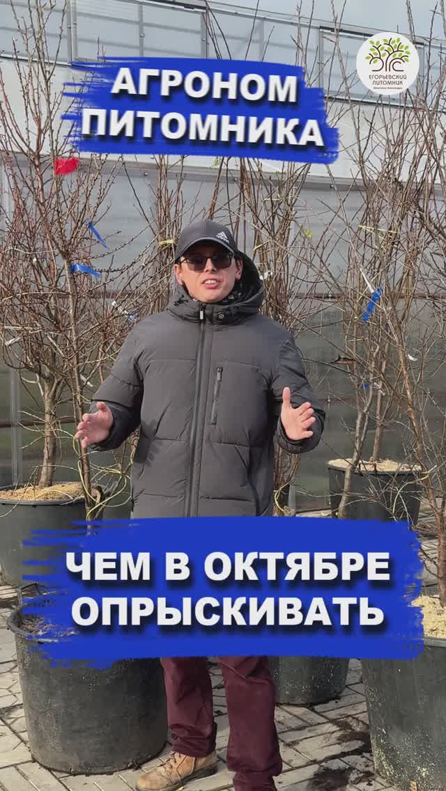 Опрыскивание в октябре смотреть онлайн