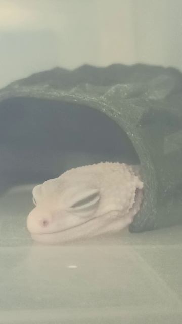 Ночь...24 октября 2025 г. смотреть онлайн