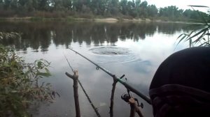 Мы часто жизни сожелеем