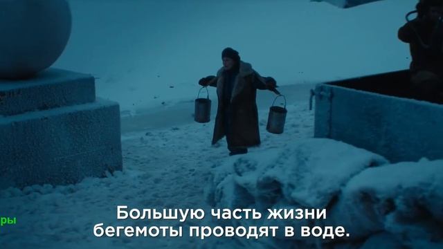 Красавица. Фильм 2026. Трейлер фильма. смотреть онлайн