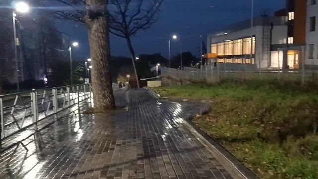 Л ДОЛИНА & А ПАНАЙОТОВ. *ЛУННАЯ МЕЛОДИЯ*.Лучший дуэт. Просто браво. Под дождем со мной.... смотреть онлайн