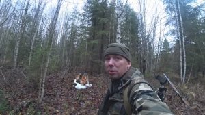 Точный выстрел по зайцу беляку.Густые ёлки-не помеха моей двухстволке!