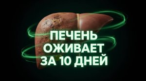 Не смотри это видео, если не хочешь восстановить печень
