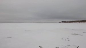 Рыбалка на реке. Ловля на перемёт, налимы порадовали.