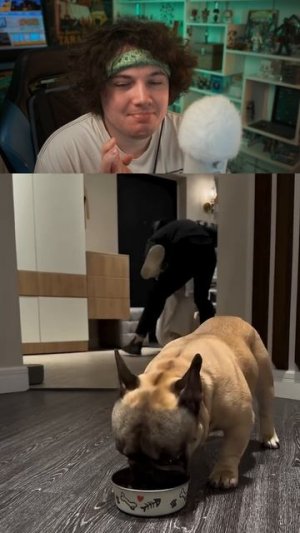 😱А ВЫ БЫ ХОТЕЛИ ТАКОГО ЗАЩИТНИКА СЕБЕ?