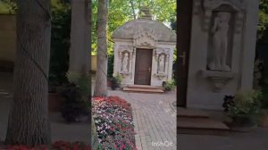 Геленджик. Кабардинка. Старый парк.