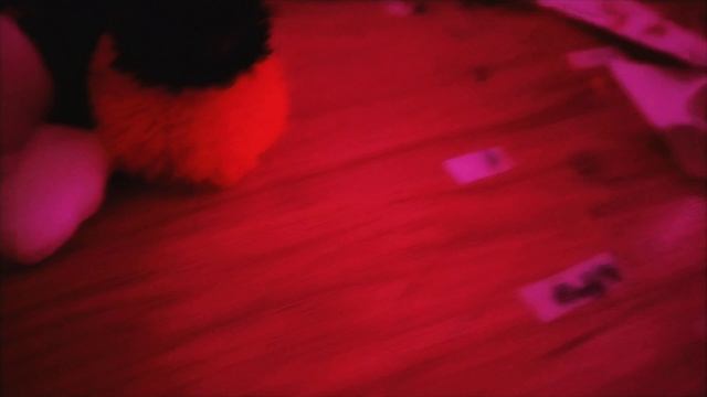 Гусик и его тыковка﹤3