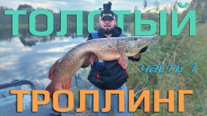 Как докатиться до ТРОФЕЙНОГО ТРОЛЛИНГА| Поймает даже ребенок |
