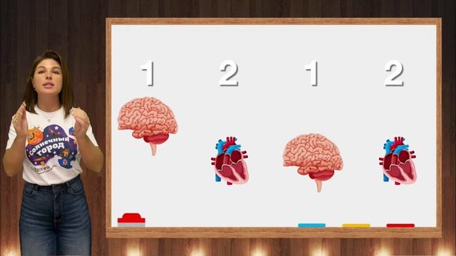 Ритмослоги "Я - человек. Внутренние органы"