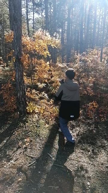Осень в лесу.