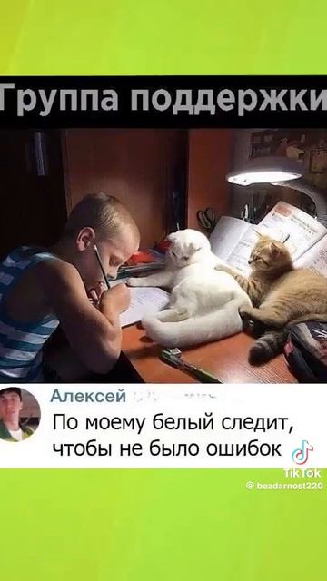 видосик