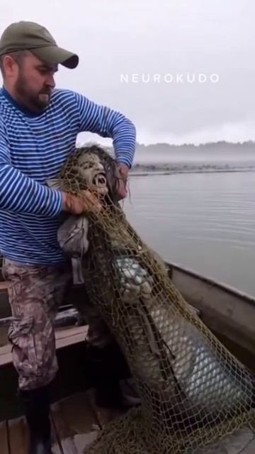 МОРЯКИ ПОЙМАЛИ НЕЧТО ПОХОЖЕЕ НА РУСАЛКУ.🥶😱