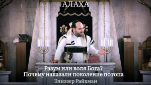 Разум или воля Бога? Почему наказали поколение потопа