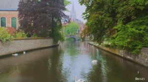 Бельгия 4K • Красивый фильм о природе с глубокой умиротворяющей музыкой