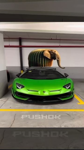 1000002788.mp4 смотреть онлайн