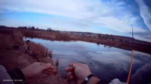 Как же в выходной день без рыбалки? Даешь рыбалку! Сегодня прогулялся на Старицу на пару часиков.