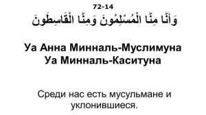 72.Сура «Аль-Джинн» («Джинны»).