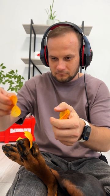 Лайфак 😅 смотреть онлайн