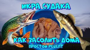 Икра судака, простой рецепт засолки 👍