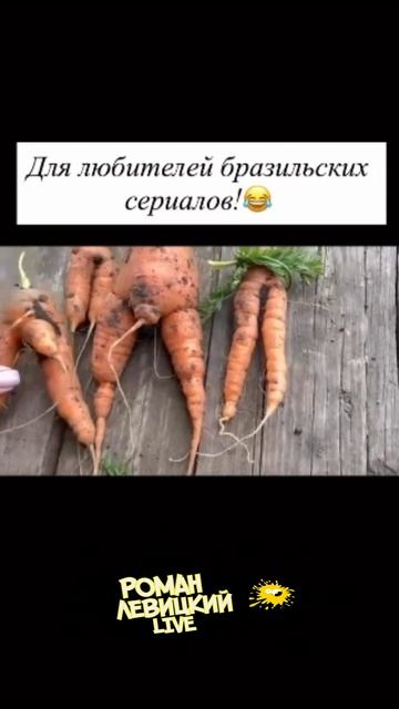 Для любителей сериалов смотреть онлайн