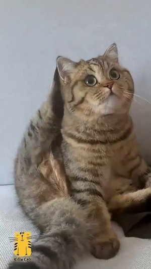 и не такое бывает..