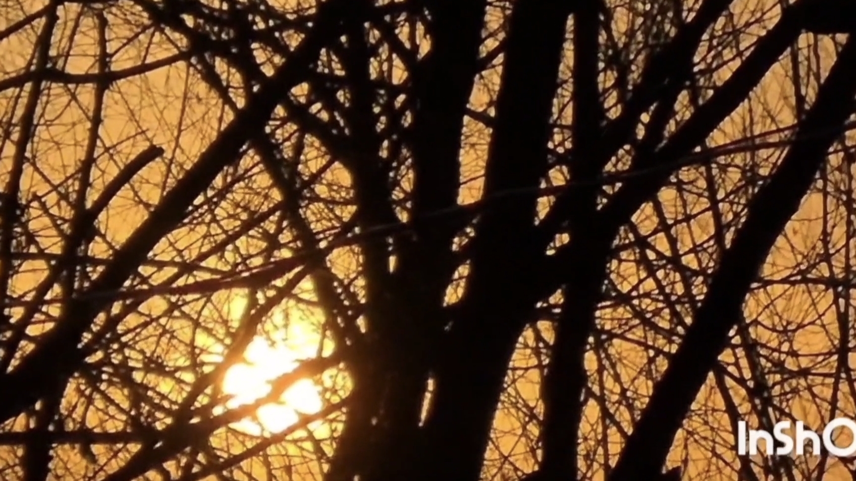 Алтай Деревня Жизнь Влог,хозяйство,Наконец то смотреть онлайн