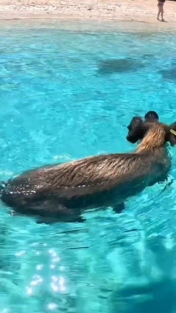 Багамские острова