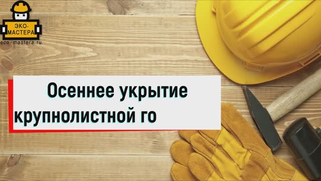 Осеннее укрытие гортензии