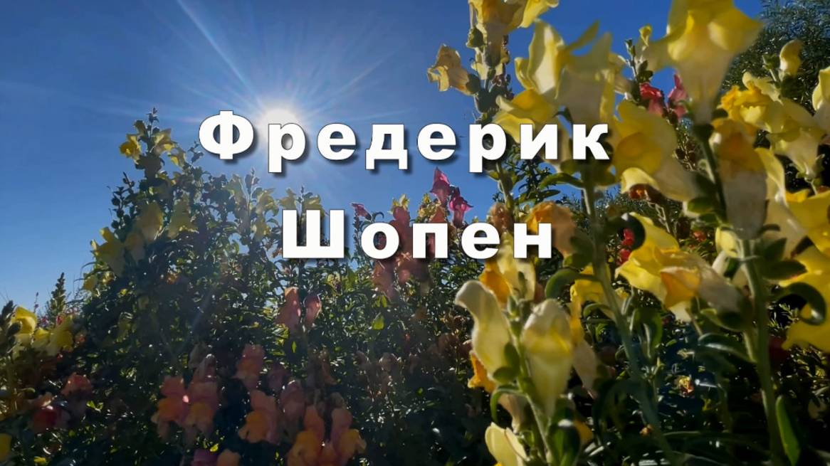 Фредерик Шопен, ноктюрн №20, классическая музыка смотреть онлайн